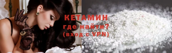 стаф Осинники