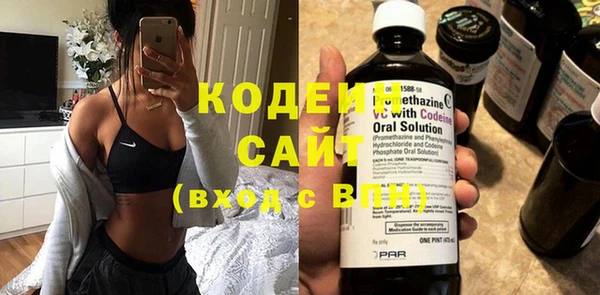 стаф Осинники