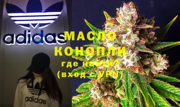 стаф Осинники