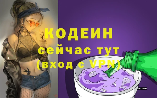 стаф Осинники