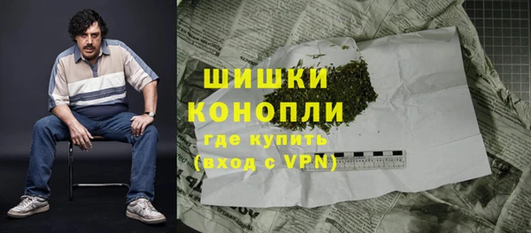 ГАЛЛЮЦИНОГЕННЫЕ ГРИБЫ Нязепетровск