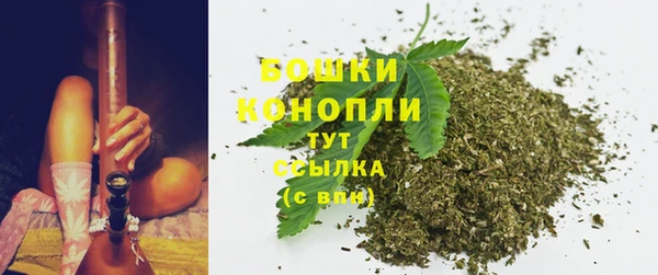 ГАЛЛЮЦИНОГЕННЫЕ ГРИБЫ Нязепетровск
