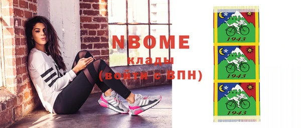 бошки Няндома